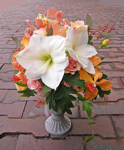 a0001354_17532996.gif