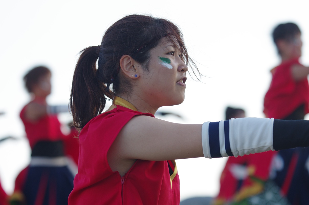 神戸よさこい２０１１　２日目その５６（早稲田大学”踊り侍”）_a0009554_23112184.jpg