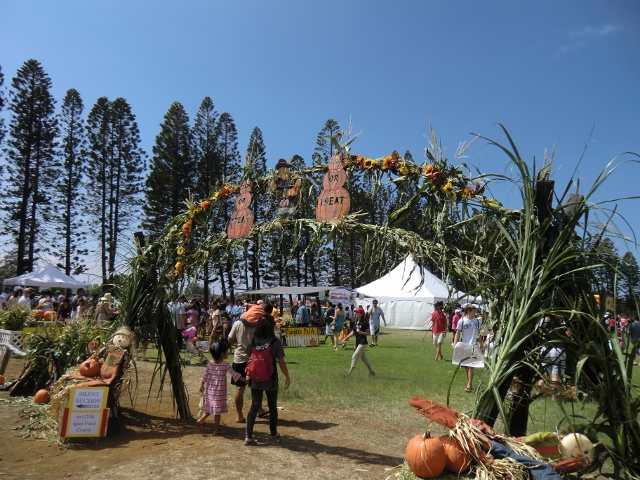 Pumpkin Patch 2011_e0033156_18321875.jpg