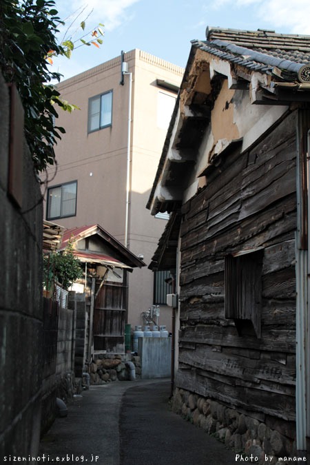 f0147858_1611270.jpg