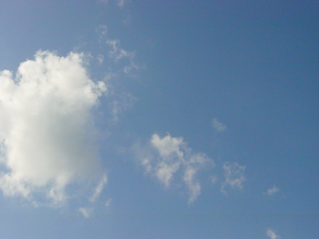 e0081959_1045762.jpg