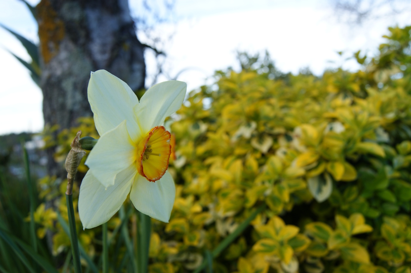 お花の写真；）＆高校留学！_b0206360_1425578.jpg