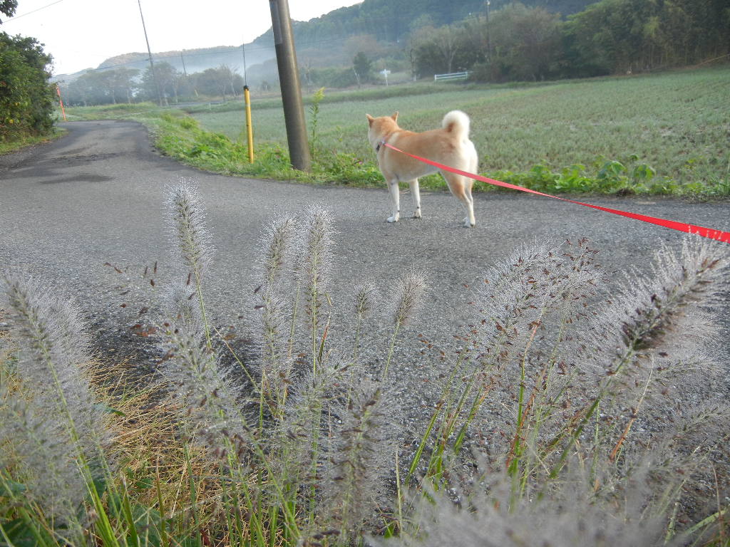 2011年10月24日(月)まだ痛いよ~!_f0060461_113098.jpg