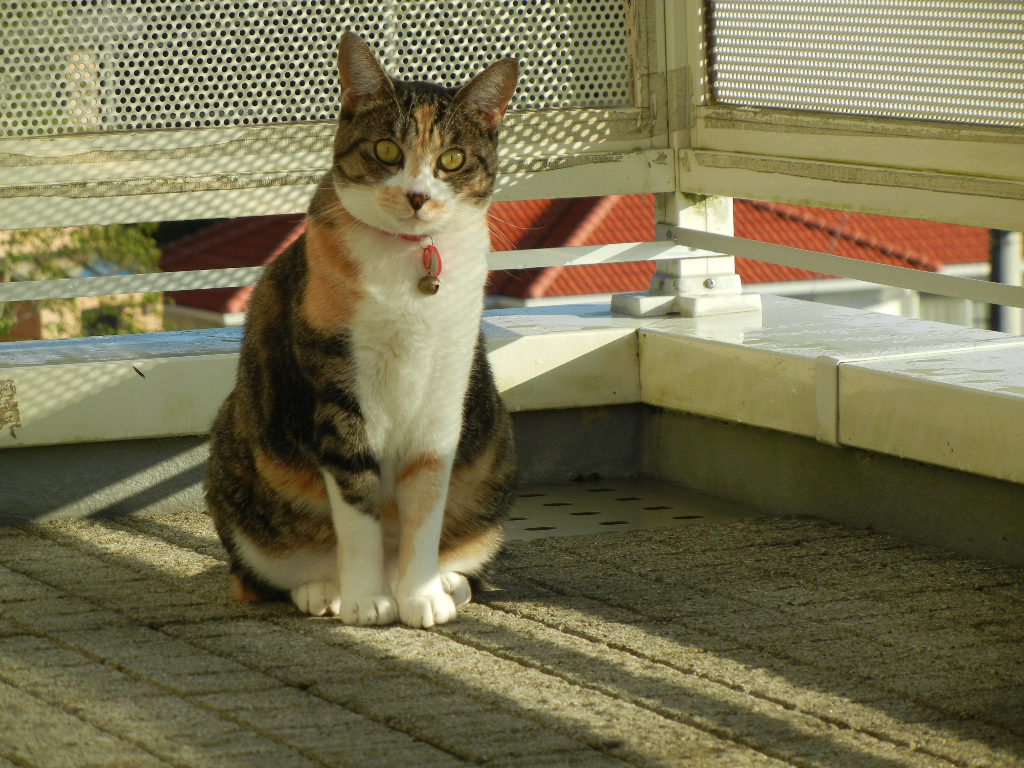 2011年10月24日(月)まだ痛いよ~!_f0060461_11323354.jpg