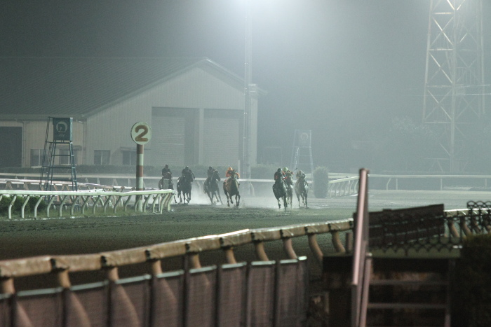 2011年10月22日（土） 高知競馬 10R 奥物部もみじ祭り特別 A-1_a0077663_1532143.jpg