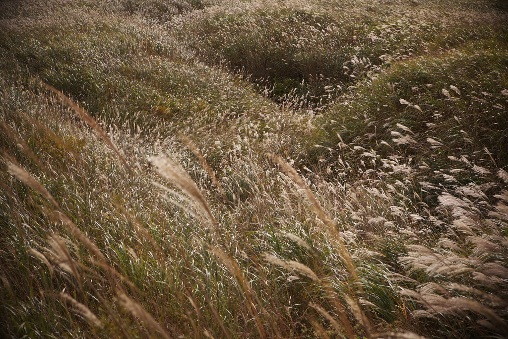 f0171065_2222863.jpg