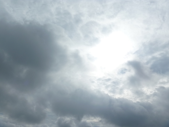 b0164568_8142429.jpg