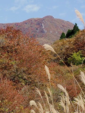 d0019169_1148307.jpg
