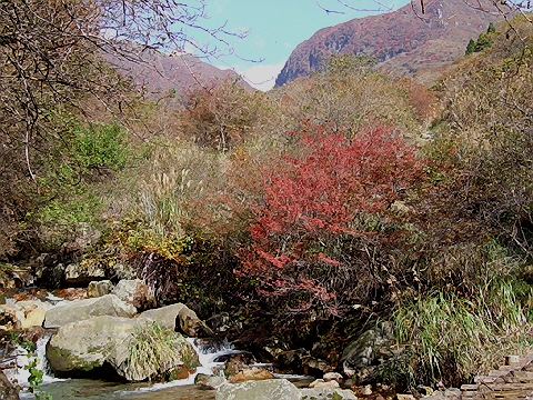 d0019169_1148620.jpg