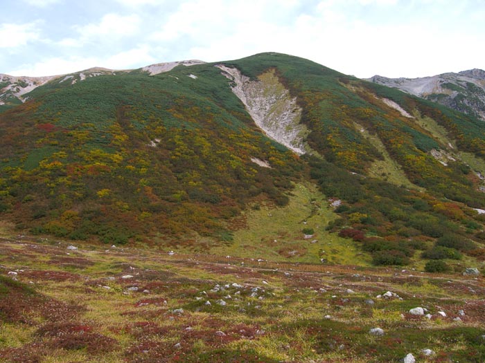 立山登山　８　紅葉_e0164571_11152969.jpg