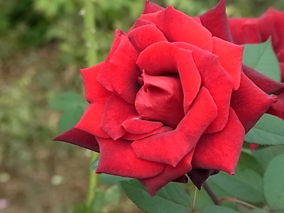 c0209377_21271653.jpg
