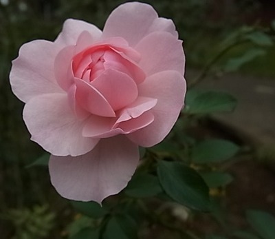 c0209377_21295173.jpg
