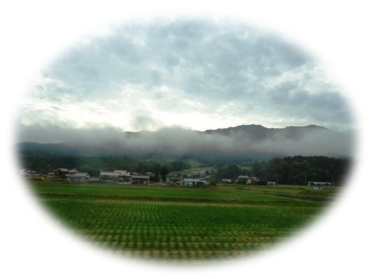 a0199979_16123514.jpg