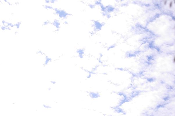 c0182782_20562490.jpg