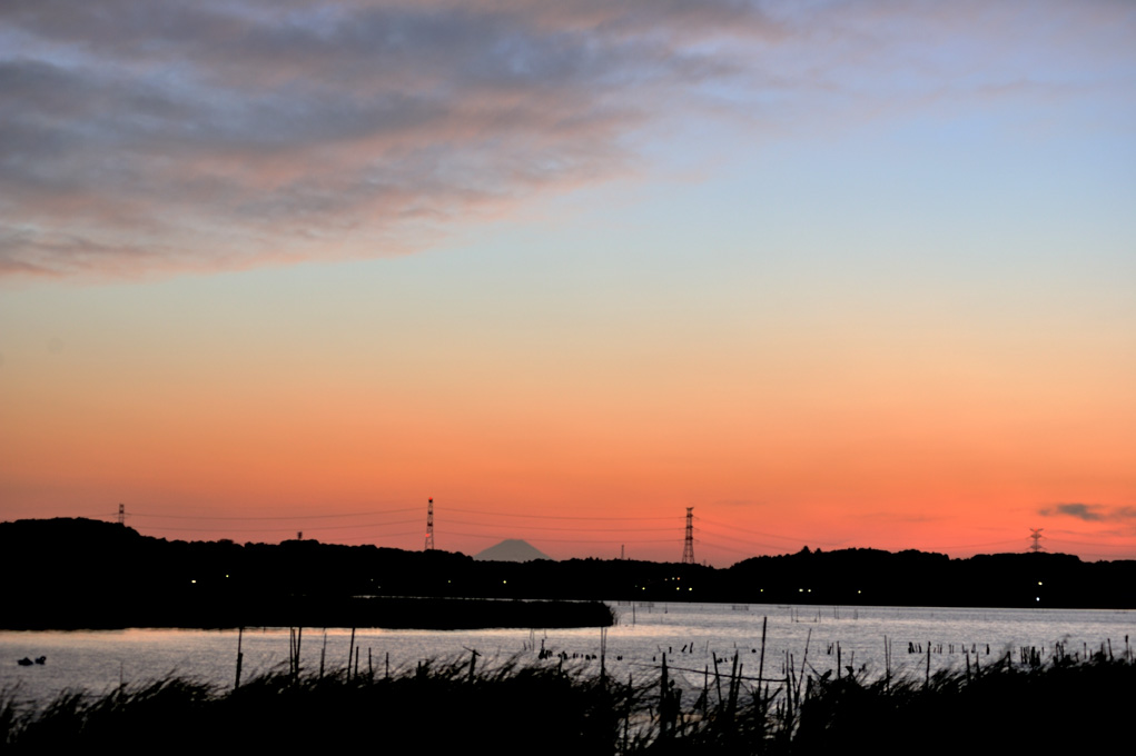 b0204383_02171.jpg