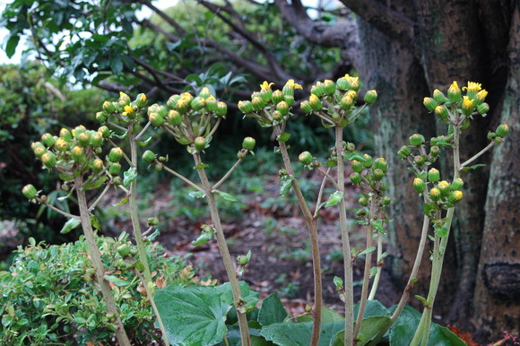 c0212083_014583.jpg