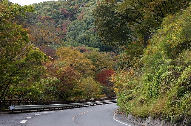 c0212083_0311679.jpg