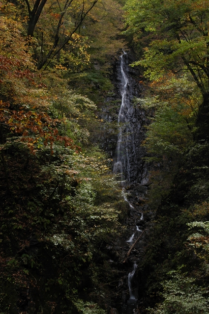 c0212083_0335959.jpg