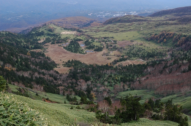 c0212083_0393691.jpg