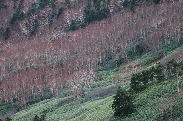 c0212083_0401747.jpg