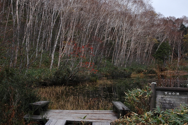 c0212083_0441645.jpg