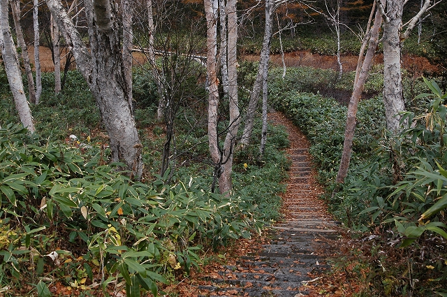 c0212083_0462466.jpg