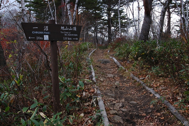 c0212083_05146100.jpg