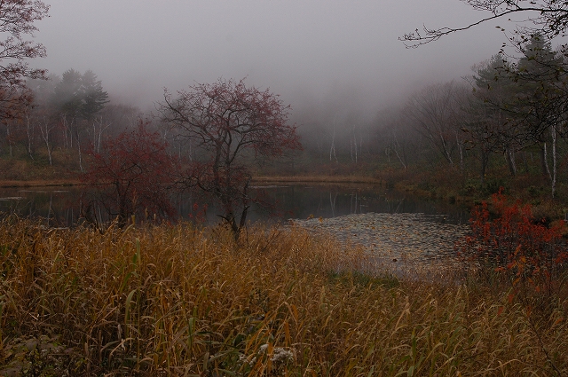 c0212083_0532245.jpg