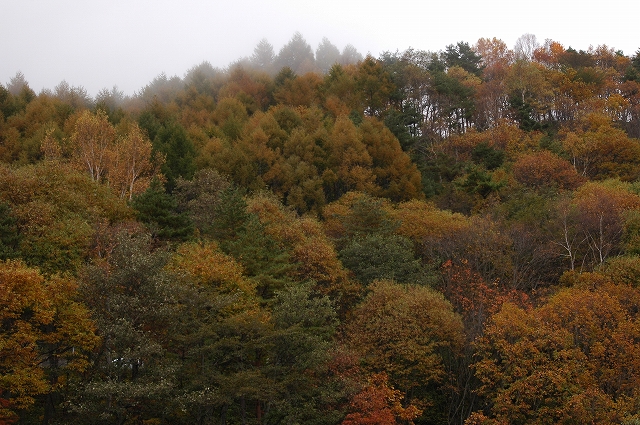 c0212083_05718100.jpg
