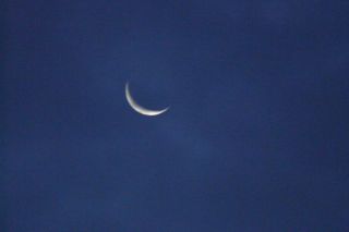2011年10月24日 小林さんにおまかせ!_b0098584_18333596.jpg