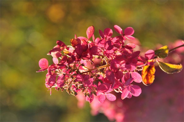 f0212586_7221227.jpg