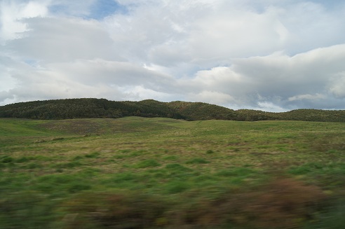 b0225187_2157291.jpg
