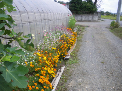 c0049489_2323186.jpg