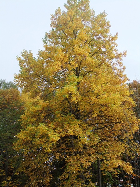 f0215591_22254118.jpg
