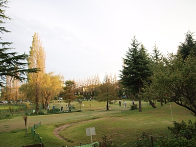 b0183497_153266.jpg