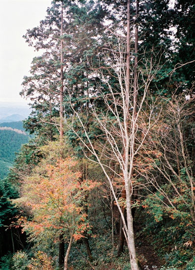 b0086098_21173828.jpg