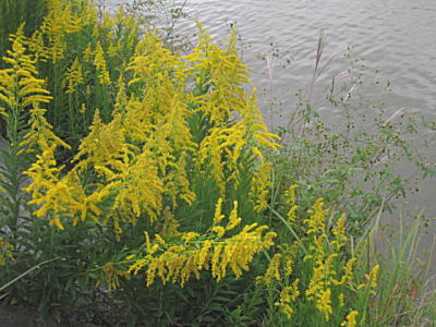 d0046702_18121243.jpg