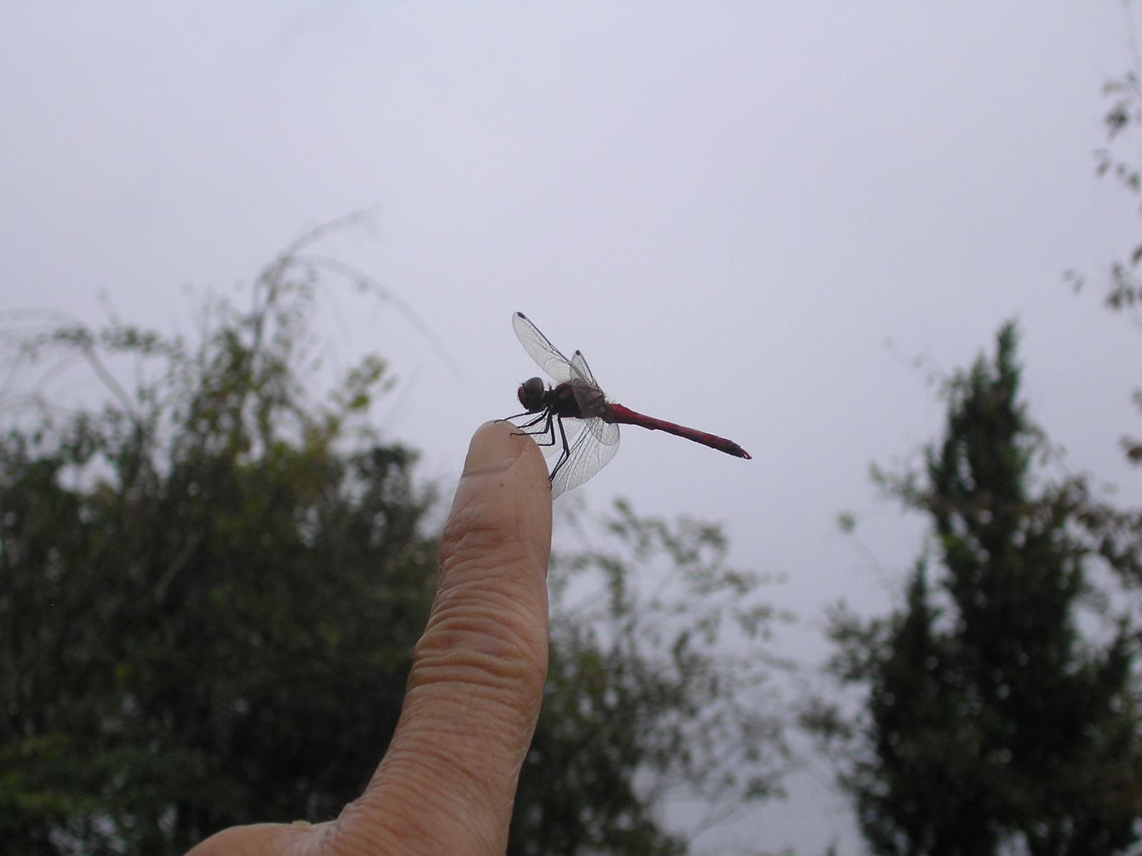 c0156104_2385574.jpg