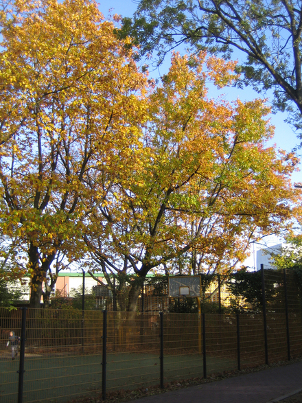 e0211204_6301389.jpg