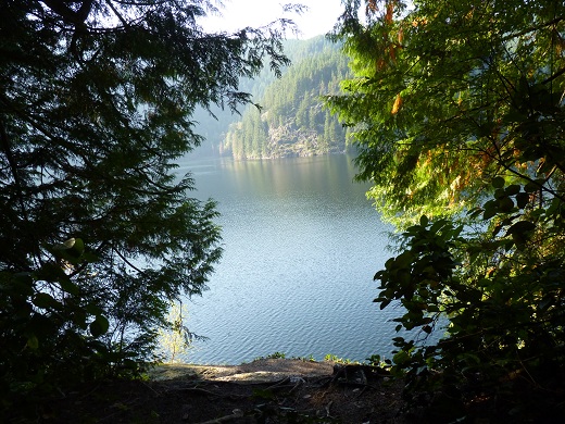 a0136808_151860.jpg