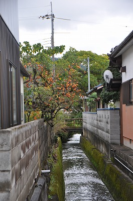 『ササヤマルシェ』へGOー！！_b0143308_23144314.jpg