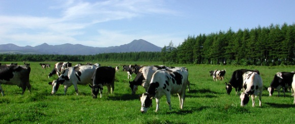 a0152009_1044436.jpg