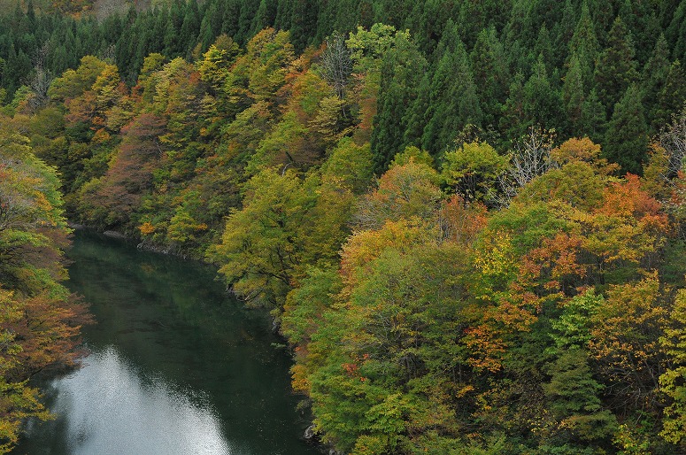 b0128609_0102014.jpg