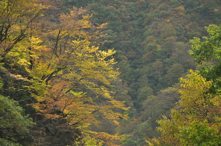 b0128609_010625.jpg