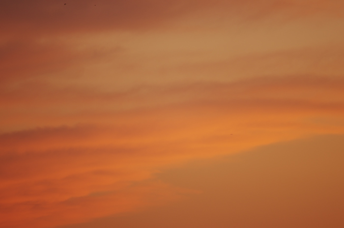 b0151409_2310734.jpg