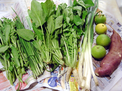 e0201210_2128587.jpg