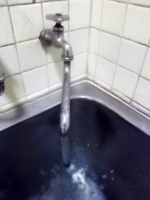 e0097512_1232571.jpg