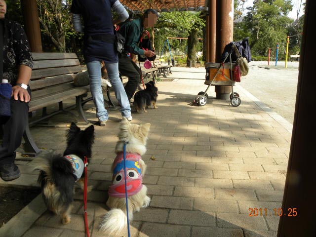 b0203018_17504150.jpg