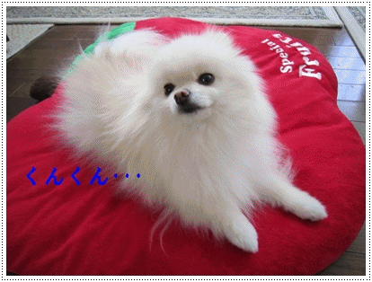 b0167519_9462789.gif