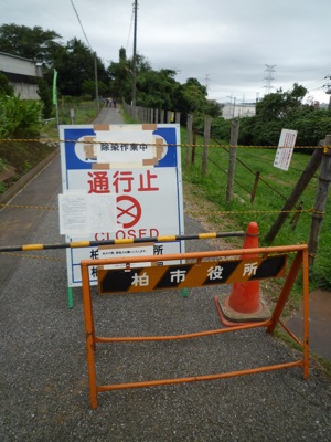 北柏で高濃度セシウムのこと_c0004024_9454018.jpg